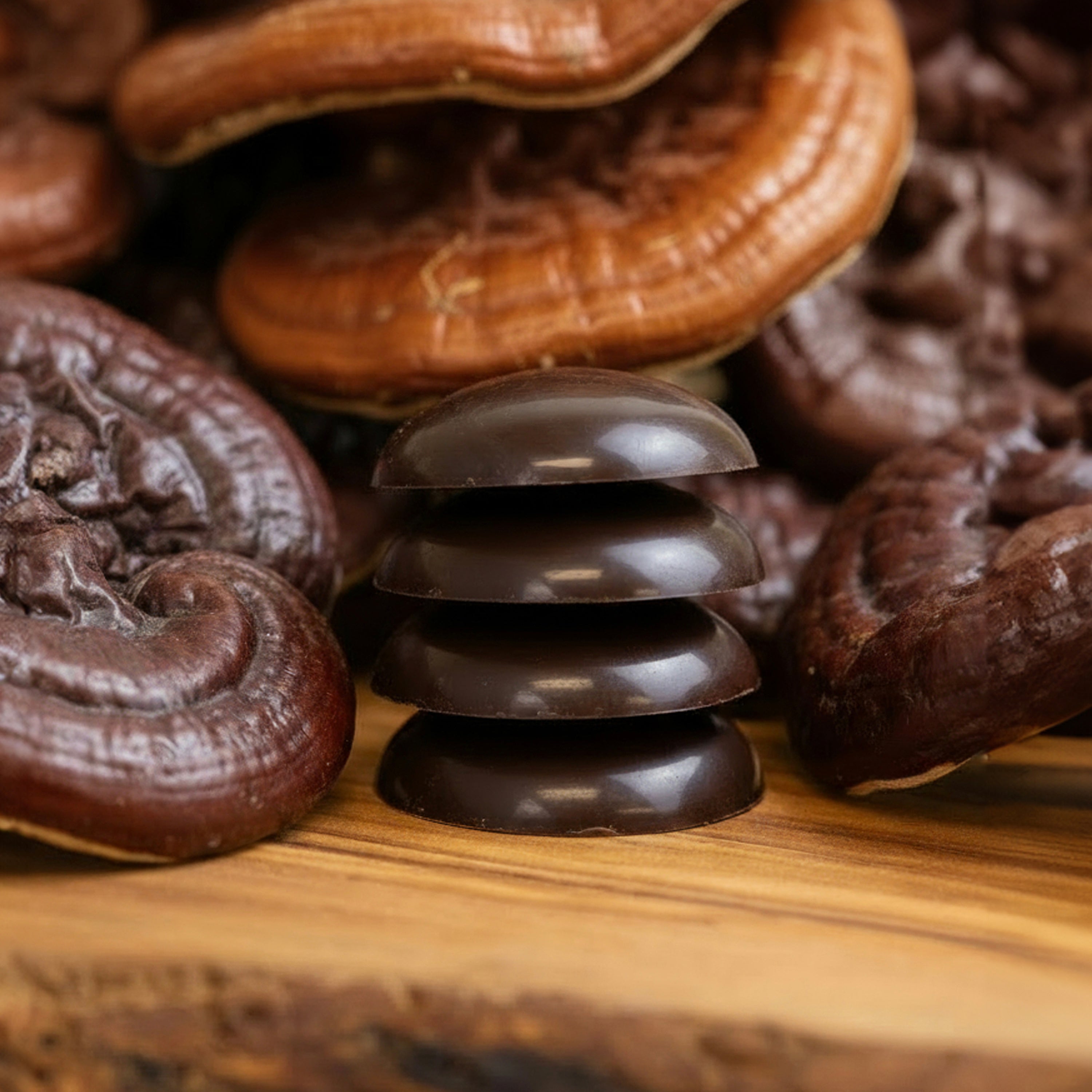 JACEK Chocolate Couture